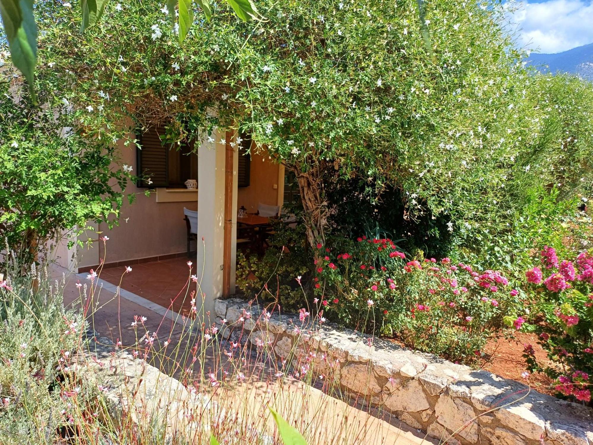 Korallis Villas Karavados Exterior photo